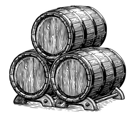 Illustration for Three oak barrels for alcoholic beverages. Wood kegs with wine or beer. Hand drawn engraving style illustration - Royalty Free Image