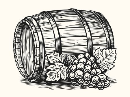 Illustration for Bunch of grapes and oak barrel. Hand drawn sketch vintage vector illustration - Royalty Free Image