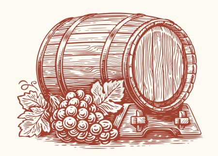 Téléchargez les illustrations : Vecteur main dessin raisin et vieux tonneau de vin en bois. Croquis en fûts de chêne. Illustration vintage - en licence libre de droit