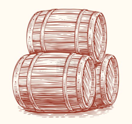 Illustration for Three oak barrels for alcoholic beverages. Wood casks sketch. Hand drawn vector illustration - Royalty Free Image