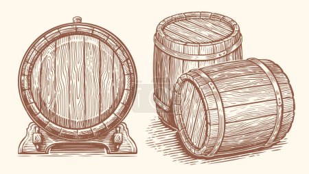 Illustration for Oak barrel, hand drawn vector illustration. Wooden cask sketch drawing - Royalty Free Image