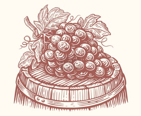 Téléchargez les illustrations : Une grappe de raisins mûrs se trouve sur un tonneau de bois avec du vin. Vignoble, vigneron croquis vectoriel illustration - en licence libre de droit