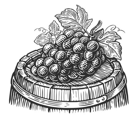 Téléchargez les illustrations : Bouquet de raisins avec feuilles sur tonneau en bois de vin. Vignoble, vigneron illustration vectorielle vintage - en licence libre de droit