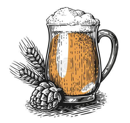 Ilustración de Taza de cerveza, lúpulo y espigas de trigo. Pub, concepto de cervecería. Ilustración de vector vintage dibujado a mano - Imagen libre de derechos