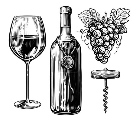 Ilustración de Concepto de bebida. Botella de vino, vino, sacacorchos y racimo de uvas. Dibujo ilustración vector vintage - Imagen libre de derechos