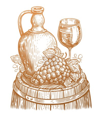 Illustration for Wine drink concept. Hand drawn vintage vector illustration. Winery, vineyard sketch - Royalty Free Image