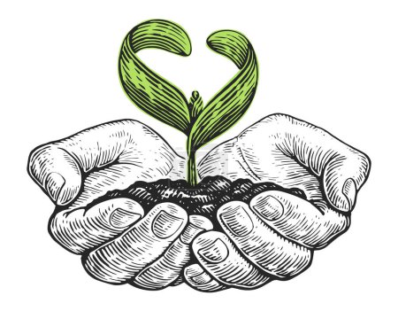 Ilustración de Las manos plantan plántulas en el suelo. Día de la Tierra concepto de ecología, protección de la naturaleza y el medio ambiente - Imagen libre de derechos