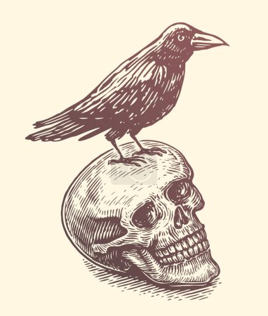 Illustration for Raven, crow sitting on human skull. Sketch vector illustration. Hand drawn vector art - Royalty Free Image