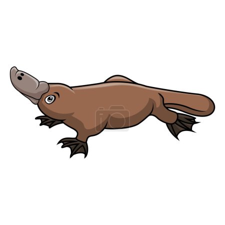Illustration for Cute cartoon platypus on white background - Royalty Free Image