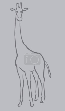 Téléchargez les illustrations : Illustration vectorielle girafe design - en licence libre de droit