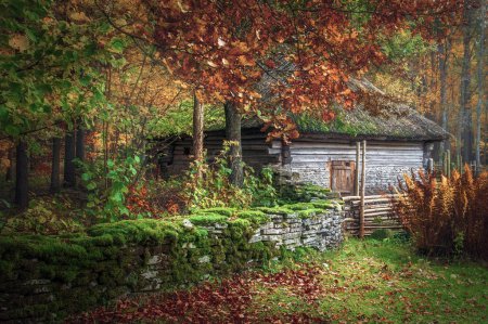 Photo for Beautiful courtyard. Old wooden barn in the medieval village. The open air Museum in Tallinn. Photographed in the fall. Historical landmark of Estonia. The old medieval architecture of Estonia. - Royalty Free Image