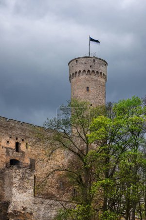 Photo for Watch tower of tall Hermann in Tallinn. Fortress. Clouds. Estonia. Spring. - Royalty Free Image