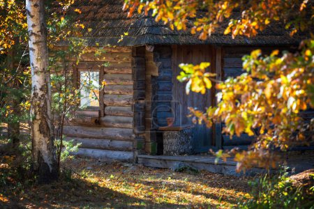 Photo for Little, old,log house in autumn forest. The attraction of the Estonian architecture open air Museum in Tallinn. The fall season. A coniferous forest. Estonia. - Royalty Free Image