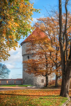 Photo for Medieval tower Kiek-in-de-Kok in the park on the hill Toompea. Autumn in old Tallinn.Famous Landmark. - Royalty Free Image