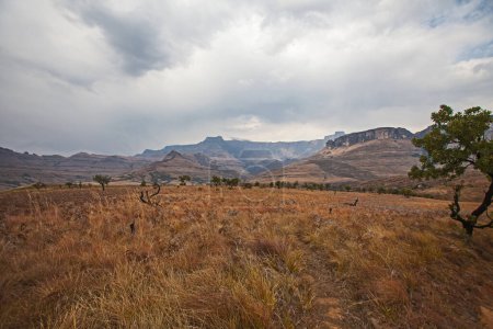Paysage de montagne sur un sentier de randonnée dans le parc national royal du Natal dans le Drakensberg Afrique du Sud
