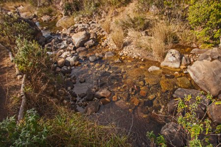 L'eau claire de la rivière Mahai dans le Parc National Royal Natal. Drakensber Afrique du Sud