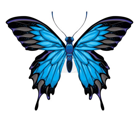 Illustration for Butterfly top view, vector isolated animal - Royalty Free Image