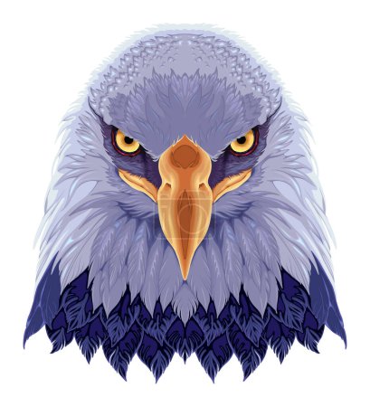 Águila vista frontal, vector animal aislado