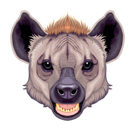 Téléchargez les illustrations : Tête d'hyène, animal isolé par vecteur - en licence libre de droit