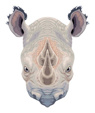 Ilustración de Cabeza de rinoceronte, vector aislado anima - Imagen libre de derechos