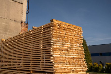 Téléchargez les photos : Séchage du bois brut dans l'entrepôt de bois. Planches en bois en gros plan. Contexte des conseils d'administration. Bois pile de bois de matériau de construction ébauches. Industrie - en image libre de droit