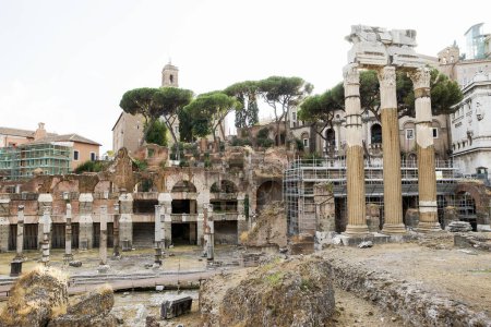 Monumentos arquitectónicos del Foro Romano en Roma, Provincia del Lacio, Italia.