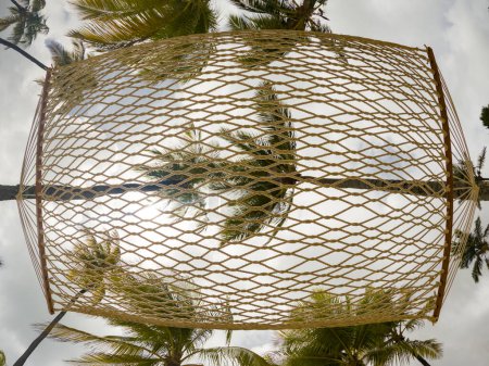 Téléchargez les photos : Hamac vu d'en bas vers le ciel nuageux avec des palmiers - en image libre de droit