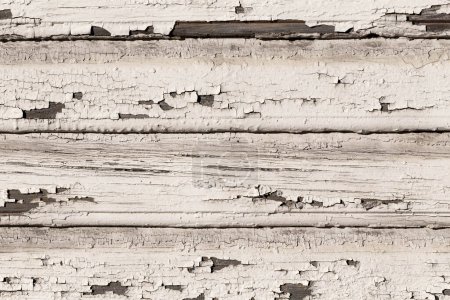 Photo for Wooden wall with old white paint is severely weathered and peeling background texture - Royalty Free Image