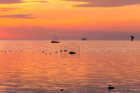 Photo for Tall ship sailing along skyline during sunset - Royalty Free Image