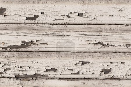 Photo for Wooden wall with old white paint is severely weathered and peeling background texture - Royalty Free Image