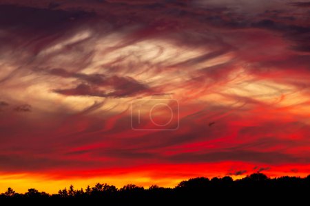 Foto de Cielo rojo atardecer muy dramático en el norte por la noche sobre el bosque y zona residentail - Imagen libre de derechos
