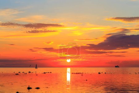 Photo for Cruise liner ship in sunset in sea in Tallinn, Estonia - Royalty Free Image