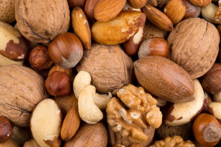 Photo for Variety of Mixed Nuts as a background - close up image - Royalty Free Image