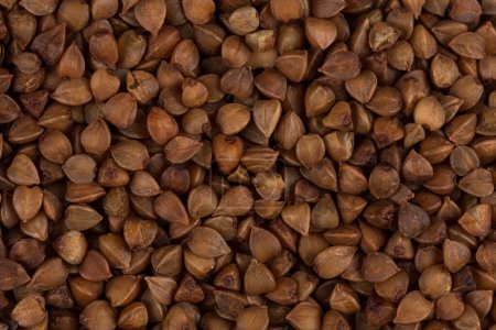 Foto de Textura de trigo sarraceno fotografía de alta calidad de semillas de trigo sarraceno premium - Imagen libre de derechos