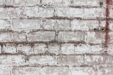 Photo for Grungy brick white dirty wall background texture - Royalty Free Image