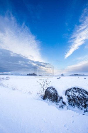 Foto de Campo de cultivo bajo la nieve - naturaleza rural paisaje de invierno - Imagen libre de derechos