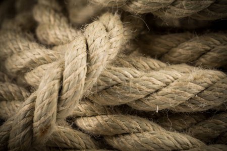 Photo for Close-up of an old frayed boat rope as a background - Royalty Free Image