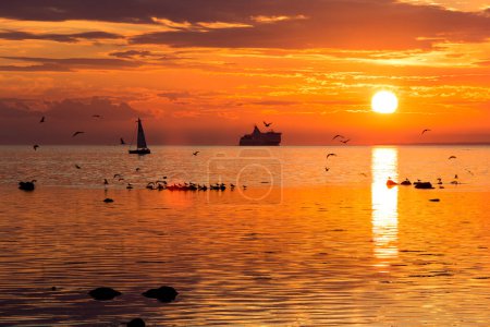 Photo for Cruise liner ship in sunset in sea in Tallinn, Estonia - Royalty Free Image