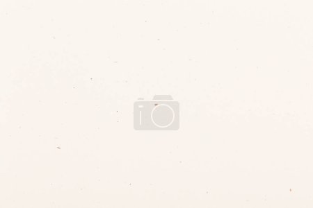 Foto de Primer plano de semillas de lino aisladas sobre fondo blanco - Imagen libre de derechos
