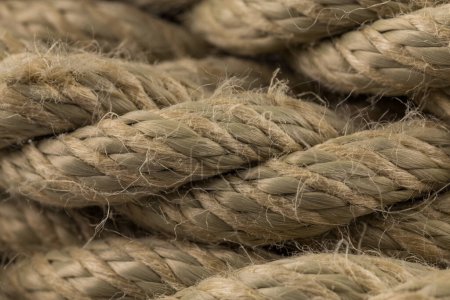 Photo for Close-up of an old frayed boat rope as a background - Royalty Free Image