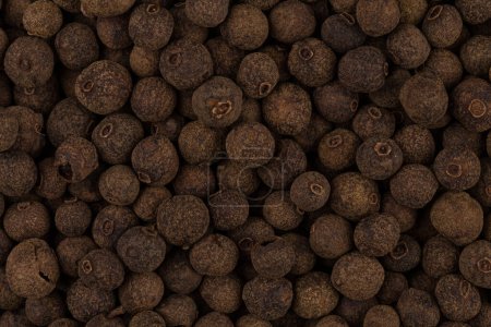 Foto de Granos grandes de semillas de pimienta negra como fondo - Imagen libre de derechos