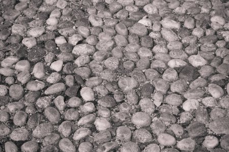 Foto de Piedras redondas en el suelo. Textura de los adoquines en Park. Camino pavimentado para peatones. Los adoquines. Contexto - Imagen libre de derechos