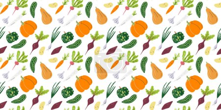 Vegetable seamless pattern with potato, pumpkin, and beet. Agricultural and organic food print design. Horizontal background isolated on white. Nightshade family hand drawn flat vector illustration