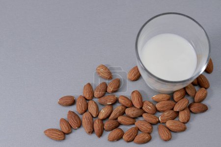 Photo for Almond milk with almond nuts no people stock image stock photo - Royalty Free Image