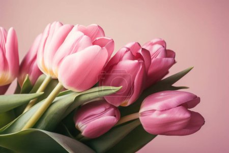 Foto de Hermosos tulipanes rosados sobre un fondo rosado, lo que lo hace perfecto para la temporada de primavera y Pascua. Los suaves colores pastel y las delicadas flores evocan sentimientos de renovación y alegría.. - Imagen libre de derechos