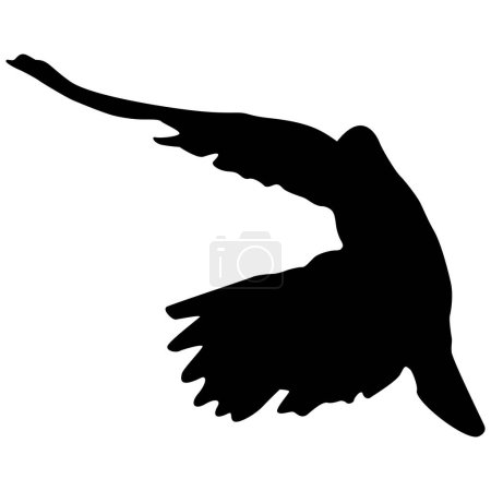 Ilustración de Una silueta de una paloma en vuelo - Imagen libre de derechos