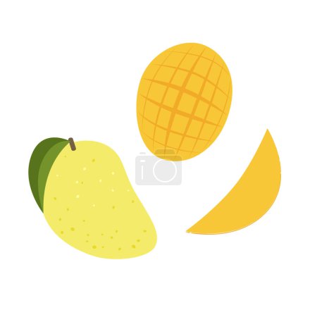 Illustration for Mango slice. Summer fruits textured. Hand drawn organic vector illustration - Royalty Free Image