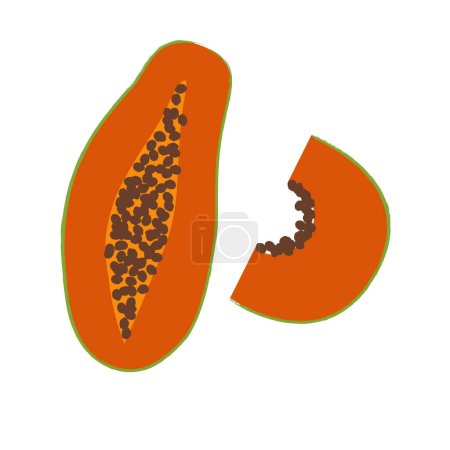 Illustration for Papaya slice. Summer fruits textured. Hand drawn organic vector illustration - Royalty Free Image