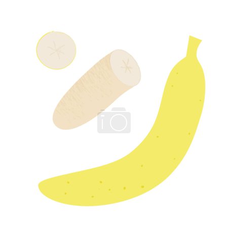Illustration for Banana slice. Summer fruits textured. Hand drawn organic vector illustration - Royalty Free Image