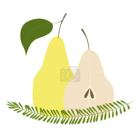 Illustration for Pear slice rosemary composition. Summer fruits textured. Hand drawn organic vector illustration - Royalty Free Image